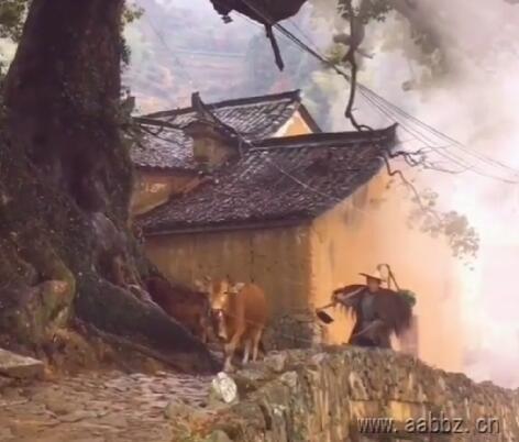 历尽沧桑欲何求,只为一生不低头! 热门评论 励志 朋友圈 触动心灵 成长 第1张 历尽沧桑欲何求,只为一生不低头! 热门评论 励志 朋友圈 触动心灵 成长 第1张