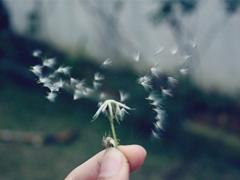 人和人的8中关系,有谁能够走出这8种关系? 热门评论 朋友圈 思考 生活 启发 经历 人生经验 个人感悟 人生哲学 人生 第1张 人和人的8中关系,有谁能够走出这8种关系? 热门评论 朋友圈 思考 生活 启发 经历 人生经验 个人感悟 人生哲学 人生 第1张
