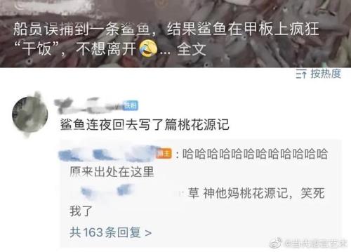 万能沙雕评论,“当代沙雕网友的回复有多好笑?哈哈哈个个是人才!” 第6张 万能沙雕评论,“当代沙雕网友的回复有多好笑?哈哈哈个个是人才!” 第6张