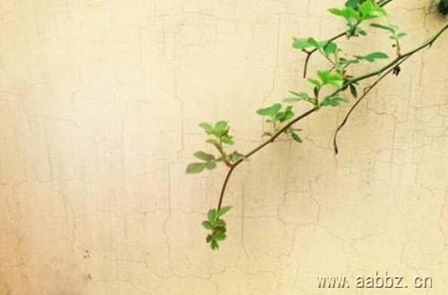 详细阅读:你可以不理解,但不要用一个标签给别人的人生下定义。 你可以不理解,但不要用一个标签给别人的人生下定义。
